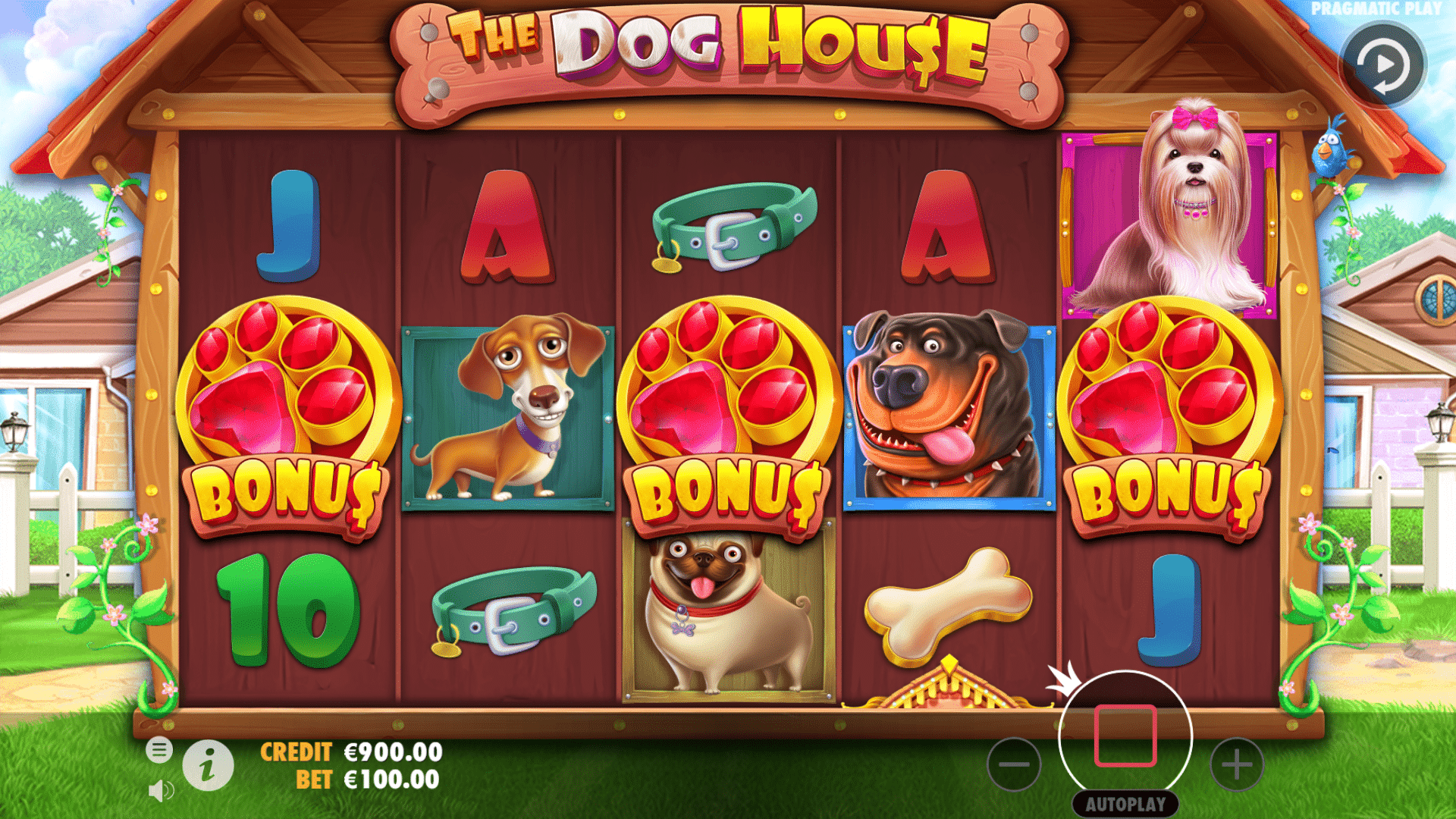 Lançamento: The Dog House, um slot bom pra cachorro